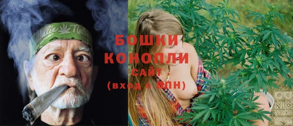 spice Медногорск