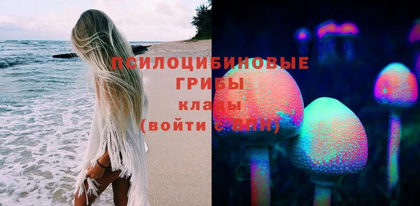 тгк Медвежьегорск