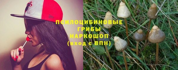 spice Медногорск