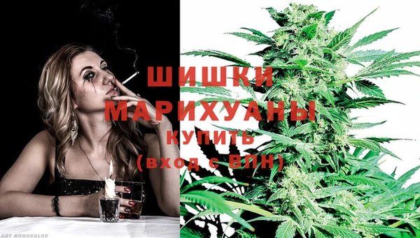 spice Медногорск
