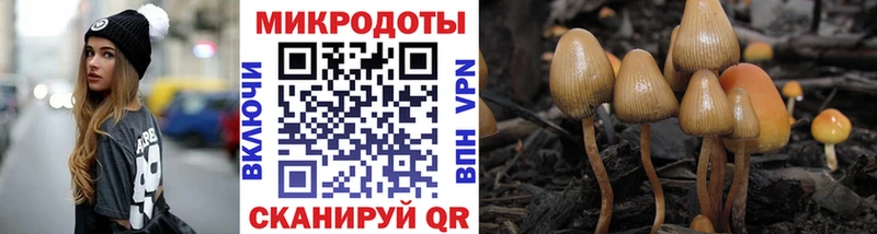 Псилоцибиновые грибы Cubensis  купить   Таруса 